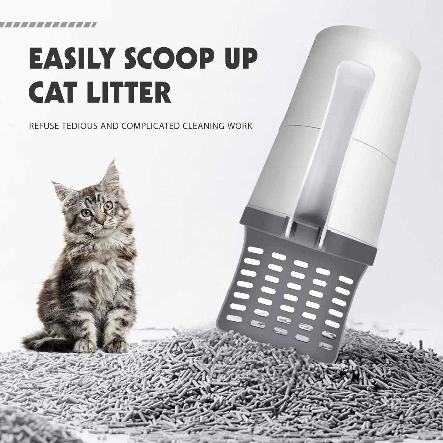Kattlådescoopar