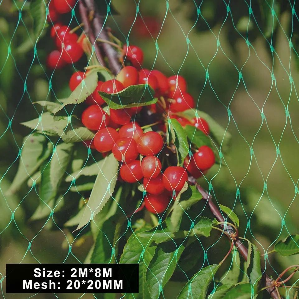 Skyddsnät för trädgårdsväxter – Grönt nät mot skadedjur och djur