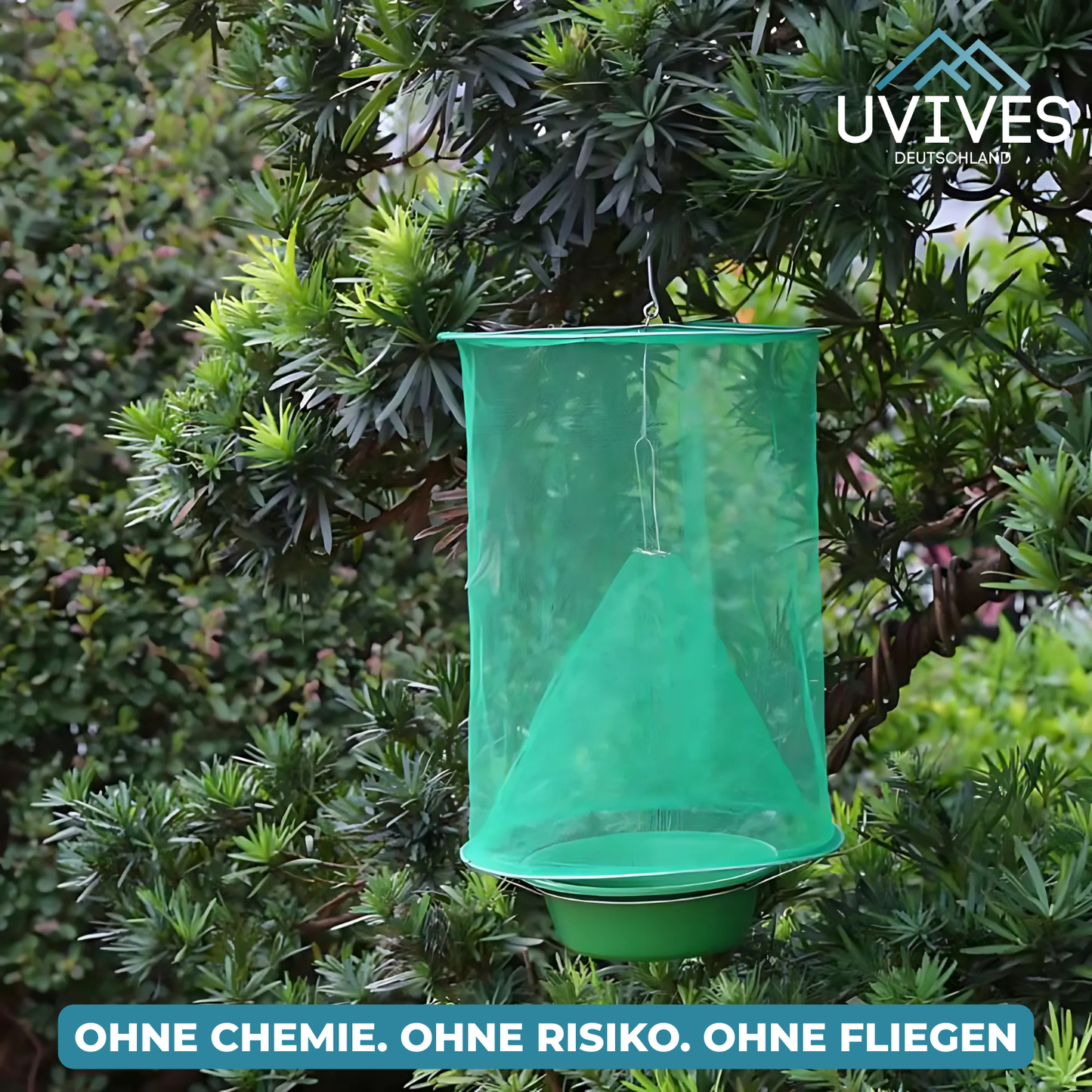 Carvallo – Slut med flugor i trädgården och huset