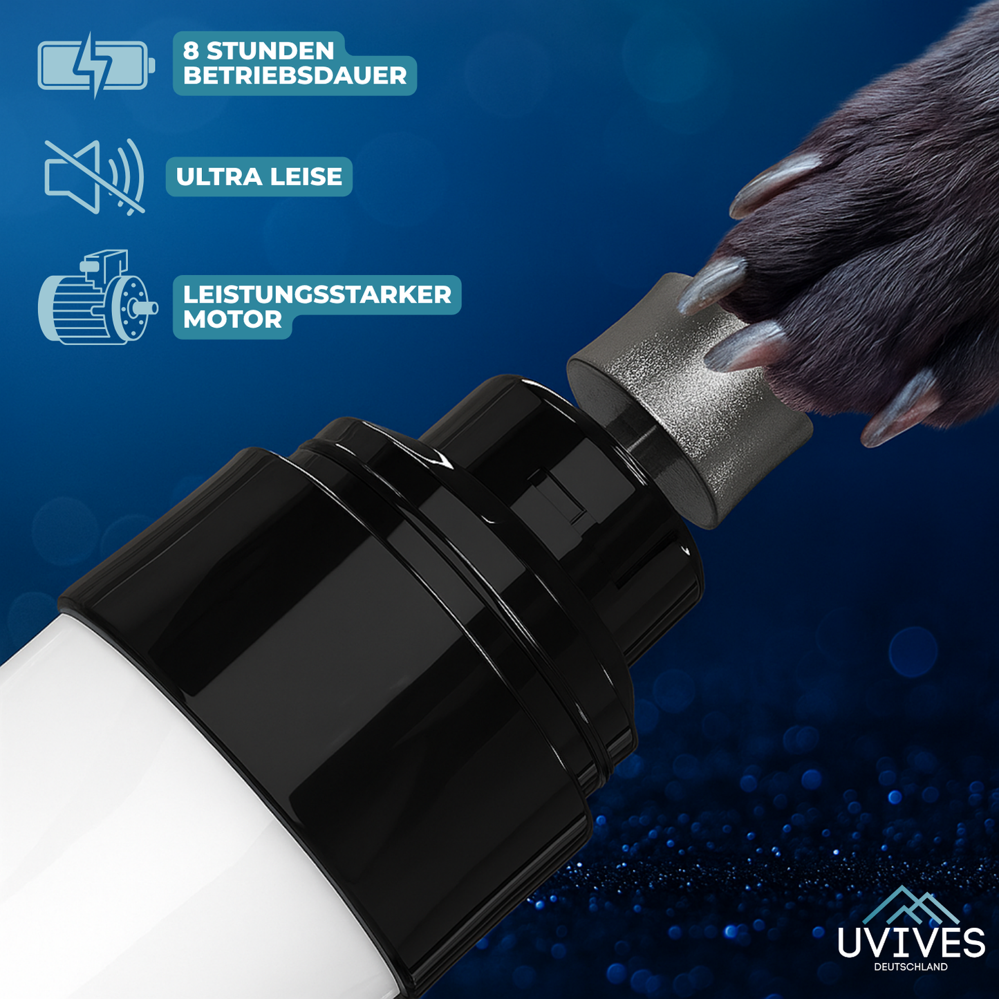 Carvallo – Stressfri tassvård