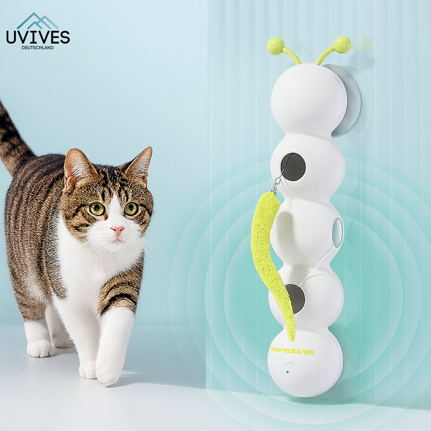 Carvallo – Jaga, leka, vara lycklig!