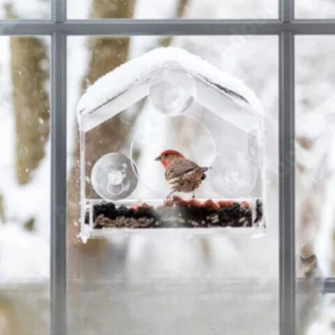 Carvallo Fönster-Fågelhus | Transparent Foderstation med Sugkoppar | Väderbeständig & Stabil | Observation på nära håll