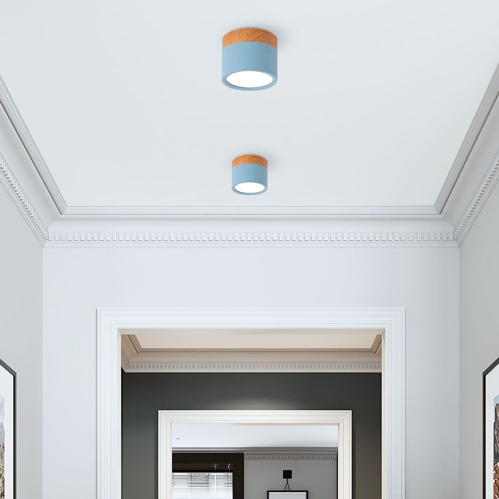 LED Taklampa Modern Flush Mount Cylinder