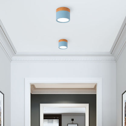 LED Taklampa Modern Flush Mount Cylinder