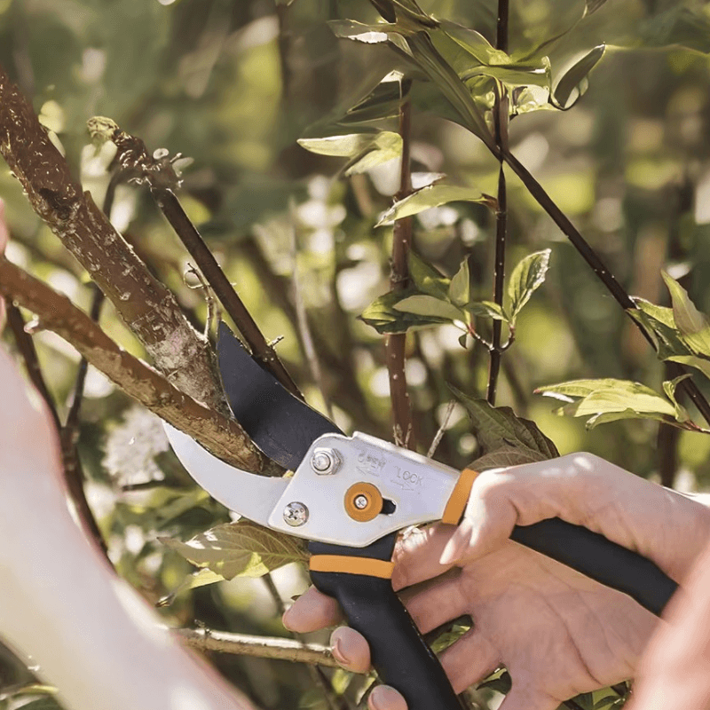 Carvallo Pro Häcksax | Rostfri kling | Ergonomisk & Rutschfest | Precision för fruktträd & buskar