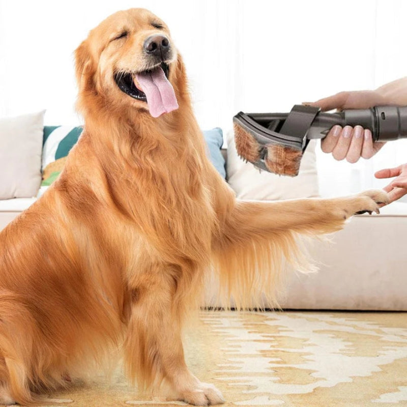 PetVac – Vakuumstödd hundvårdsborste för enkel hårborttagning