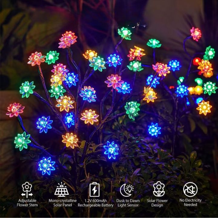 Carvallo – Förvandlar varje trädgård till ett blomsterparadis