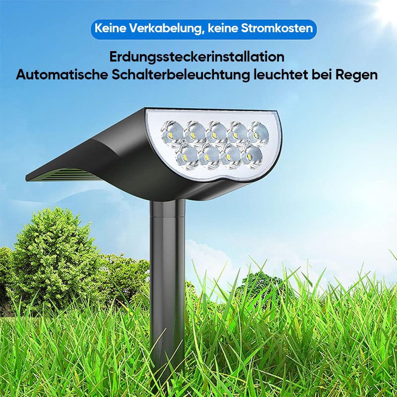 Carvallo Spot – Ljus som lever med solen