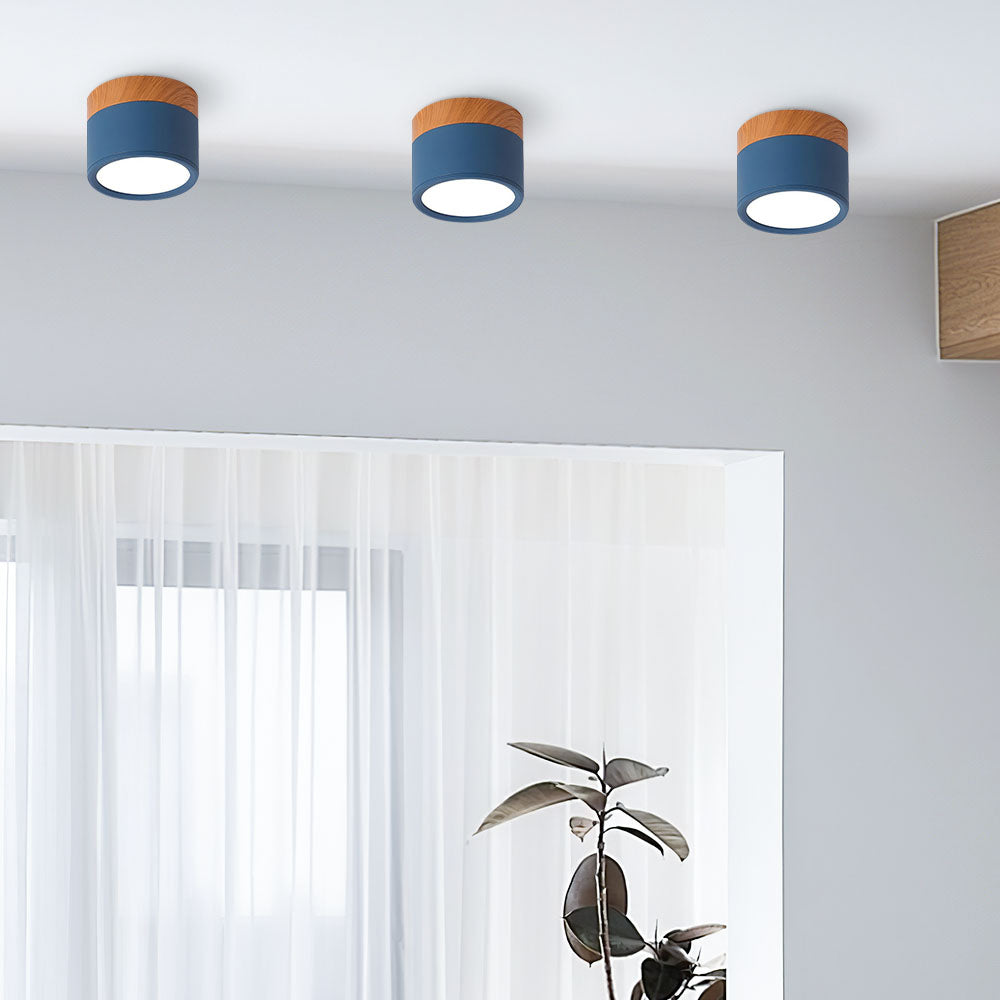 LED Taklampa Modern Flush Mount Cylinder