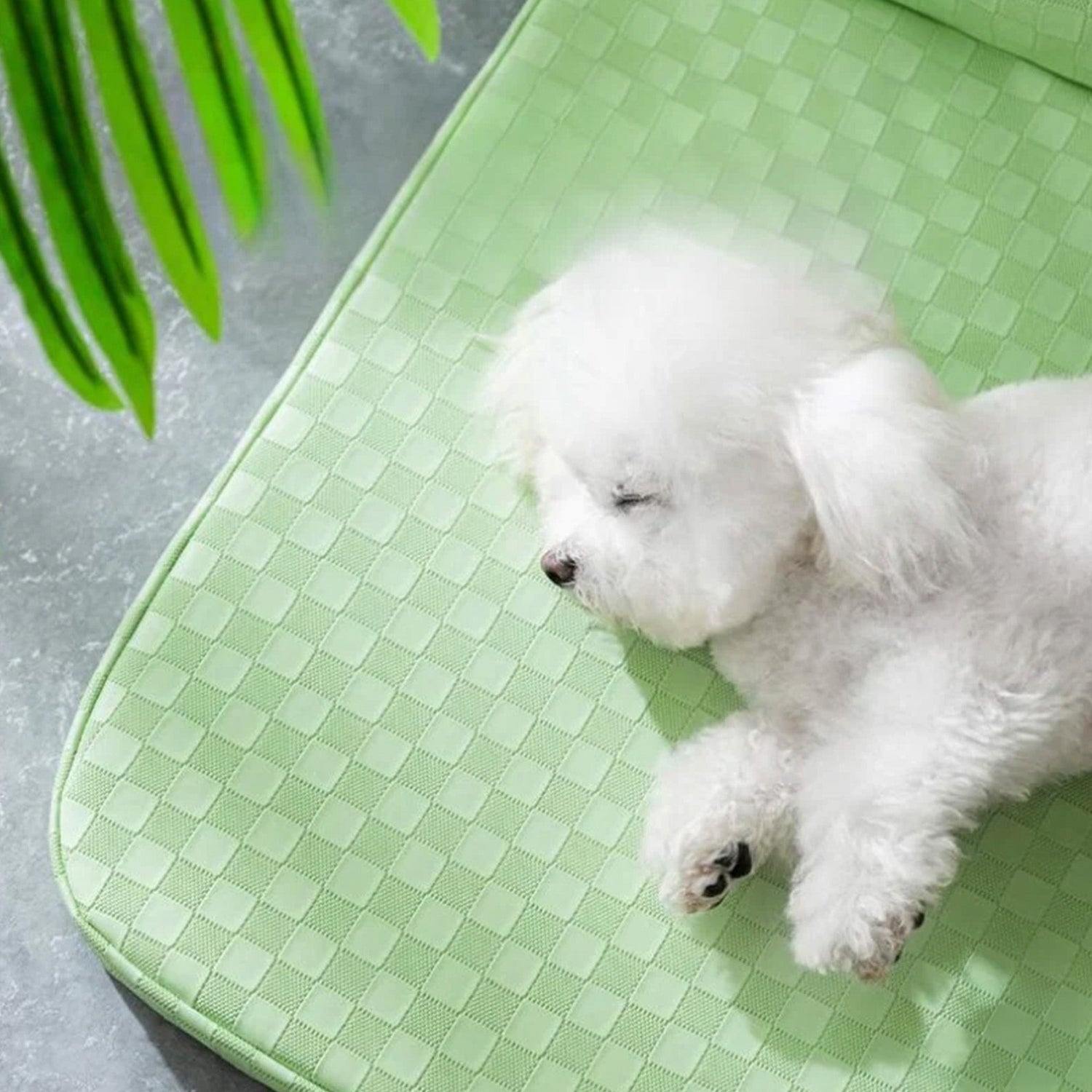 Rutig läder husdjur säng ortopedisk repa beständig tvättbar