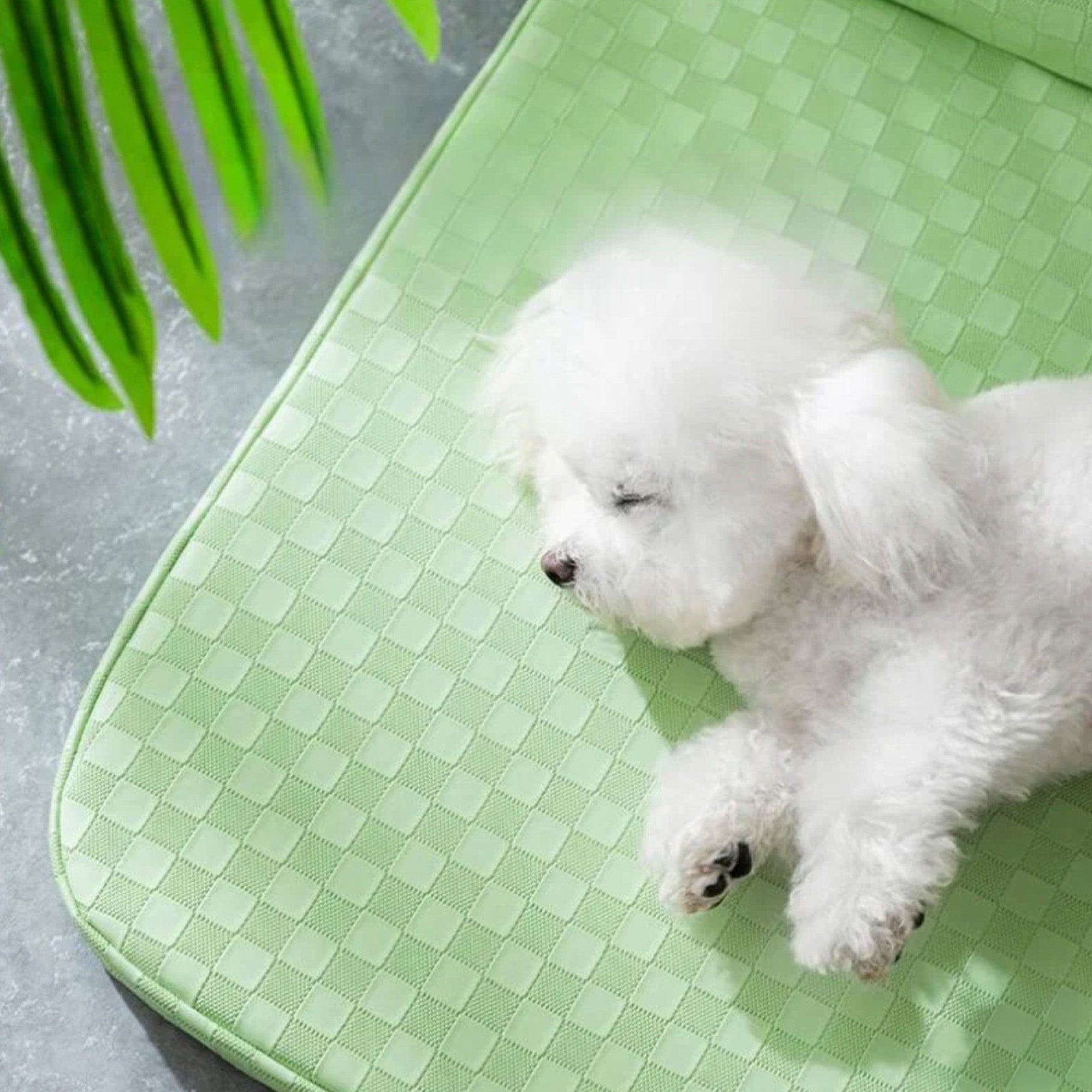 Rutig läder husdjur säng ortopedisk repa beständig tvättbar