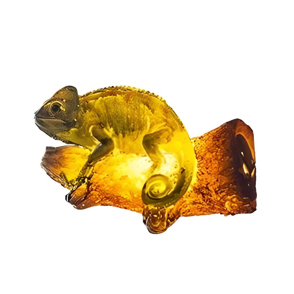 Djur Solarleuchte – Vattentät LED-utomhusbelysning i djurform för trädgård &amp; terrass