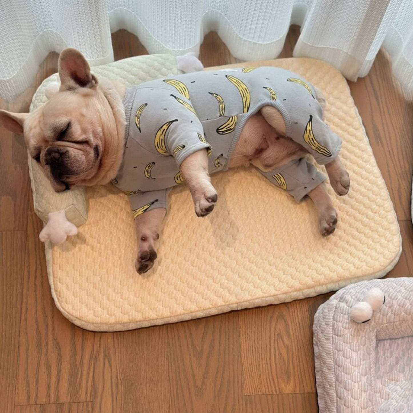 Avkylande husdjurssäng med nackskydd Andningsbar Stödjande Tvättbar