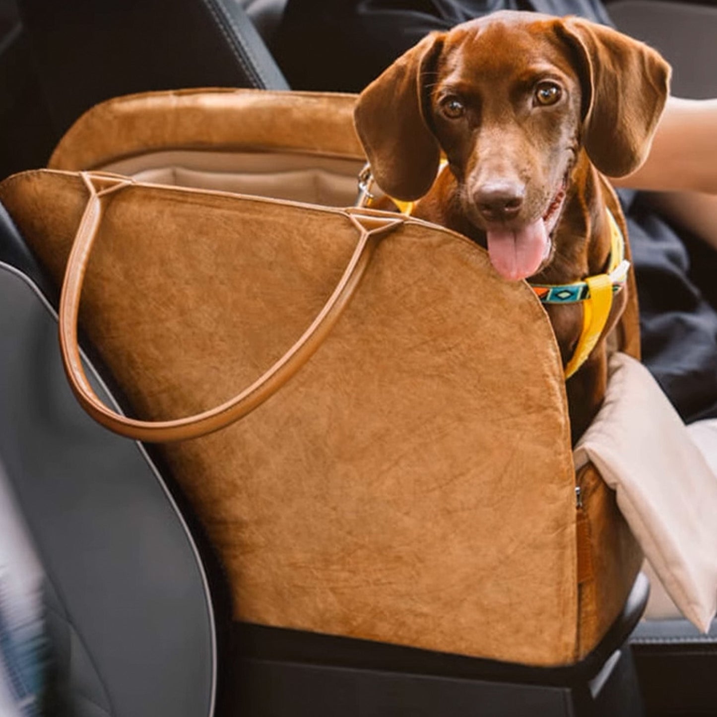 Bärbar Husdjurs Resväska – Lätt, Andningsbar & Säker för Små Husdjur