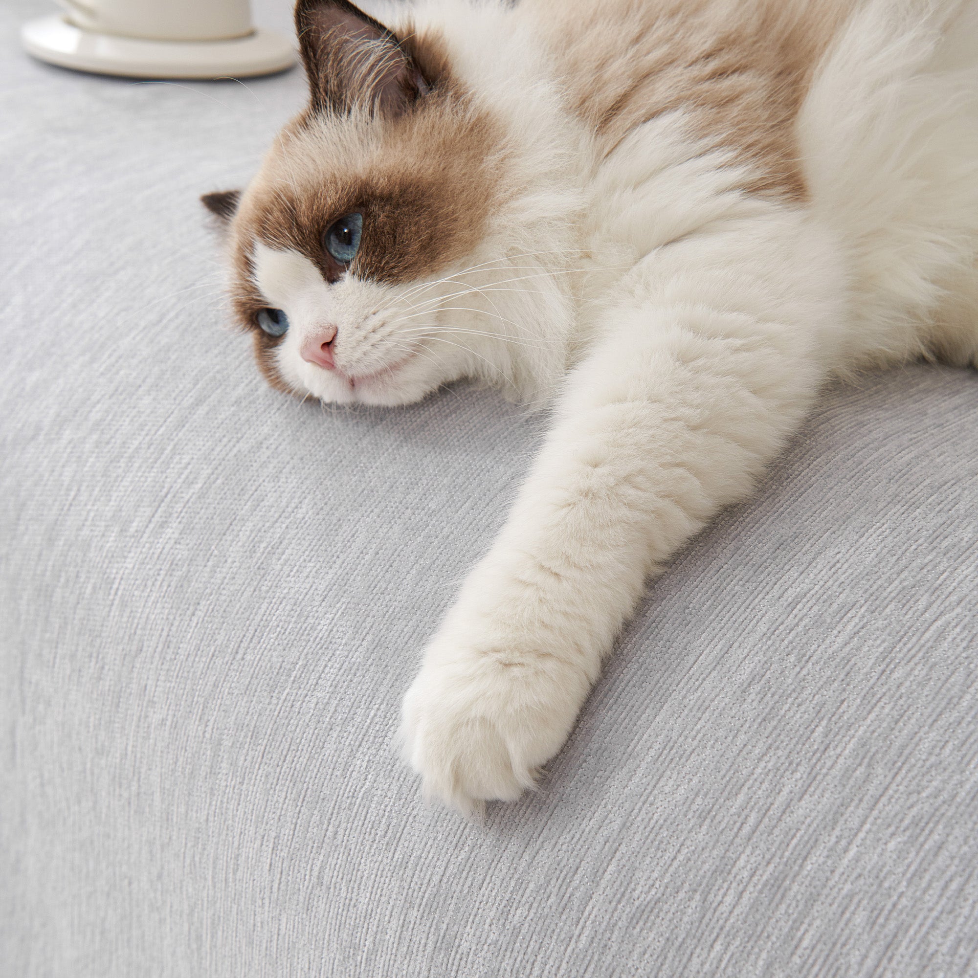 Pure Embrace Sofföverdrag - Modernt, Styligt &amp; Hållbart Soffskydd