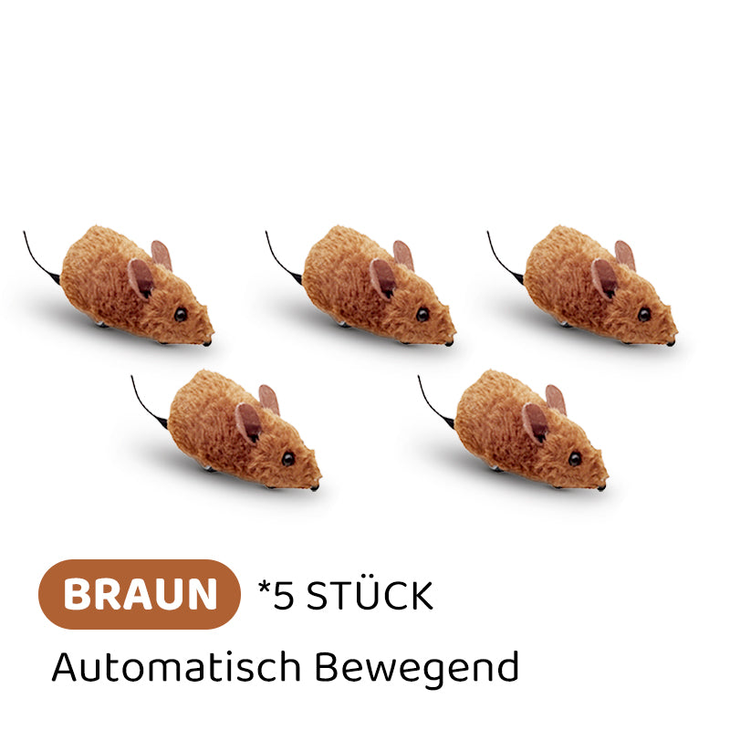 Carvallo | PawChase – Jaga, spela, jaga kul för din katt!