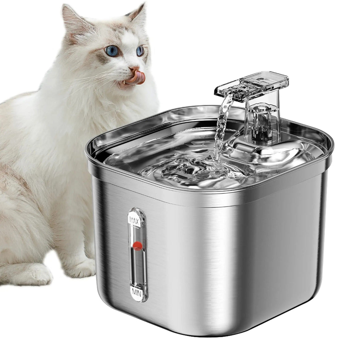 Automatisk rostfri kattvattenfontän