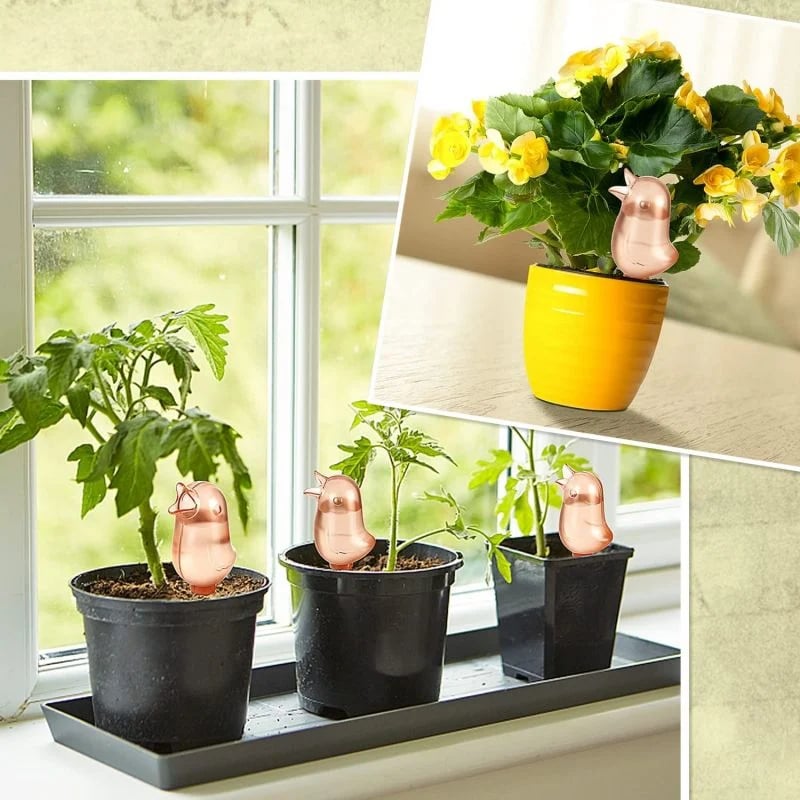 Carvallo | BloomFeeder - Automatisk blomvattnare typ fågelhus