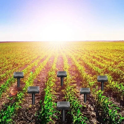 Carvallo Solar Tiervertreiber med ultraljud | Mot möss, mullvad och ormar | Väderbeständig & Miljövänlig