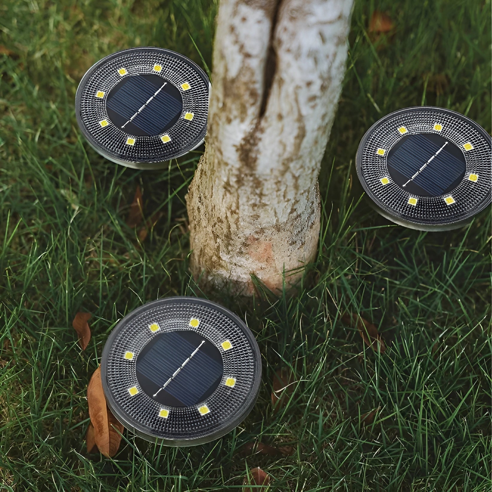 Solarlampa för trädgården – Väderbeständig och varmt vitt ljus för mysiga kvällar