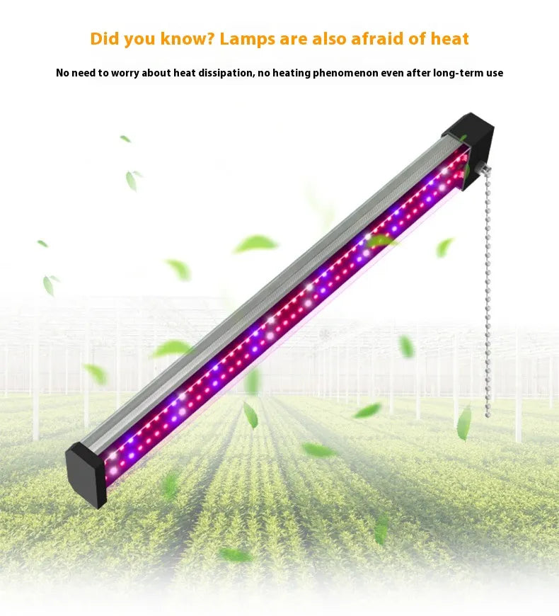 LED växtlampa med fullspektrum-belysning och dragknapp för optimal växttillväxt