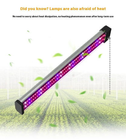 LED växtlampa med fullspektrum-belysning och dragknapp för optimal växttillväxt