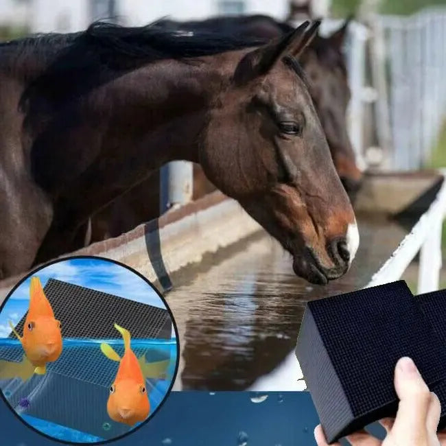 Vattenfilter Bio Cube för boskap, akvarium och hästtråg