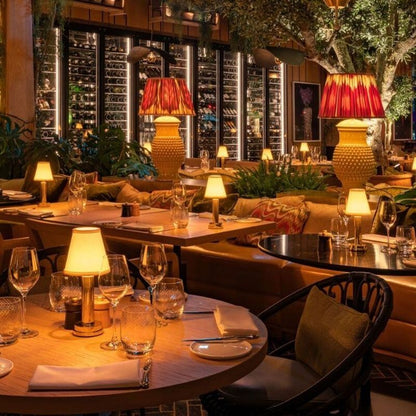 Doku Tyger Bordslampa Trådlös Vattentålig och Uppladdningsbar