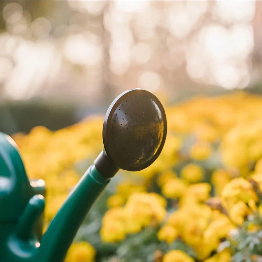 Vattenspruta med stor kapacitet och lång pip för precis vattning och växtvård
