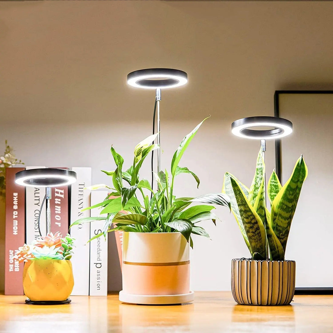PlantGlow - Justerbar LED Grow Lampa för blomstrande inomhusväxter