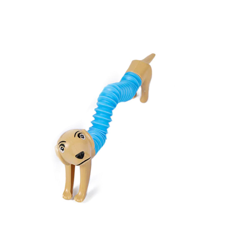 Carvallo – Timslångt spelande utan tristess