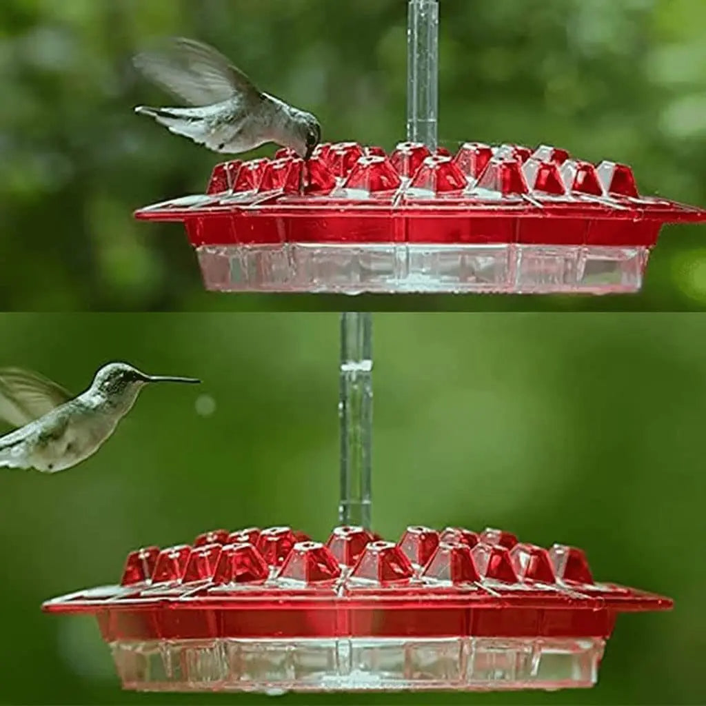 Ant-Proof Kolibri Matare med 30 Bi-Motståndskraftiga portar