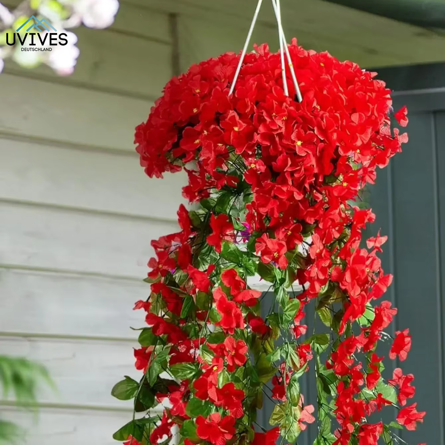 Carvallo – Naturlig elegans, ständigt fräsch [Sista dagen rabatt]