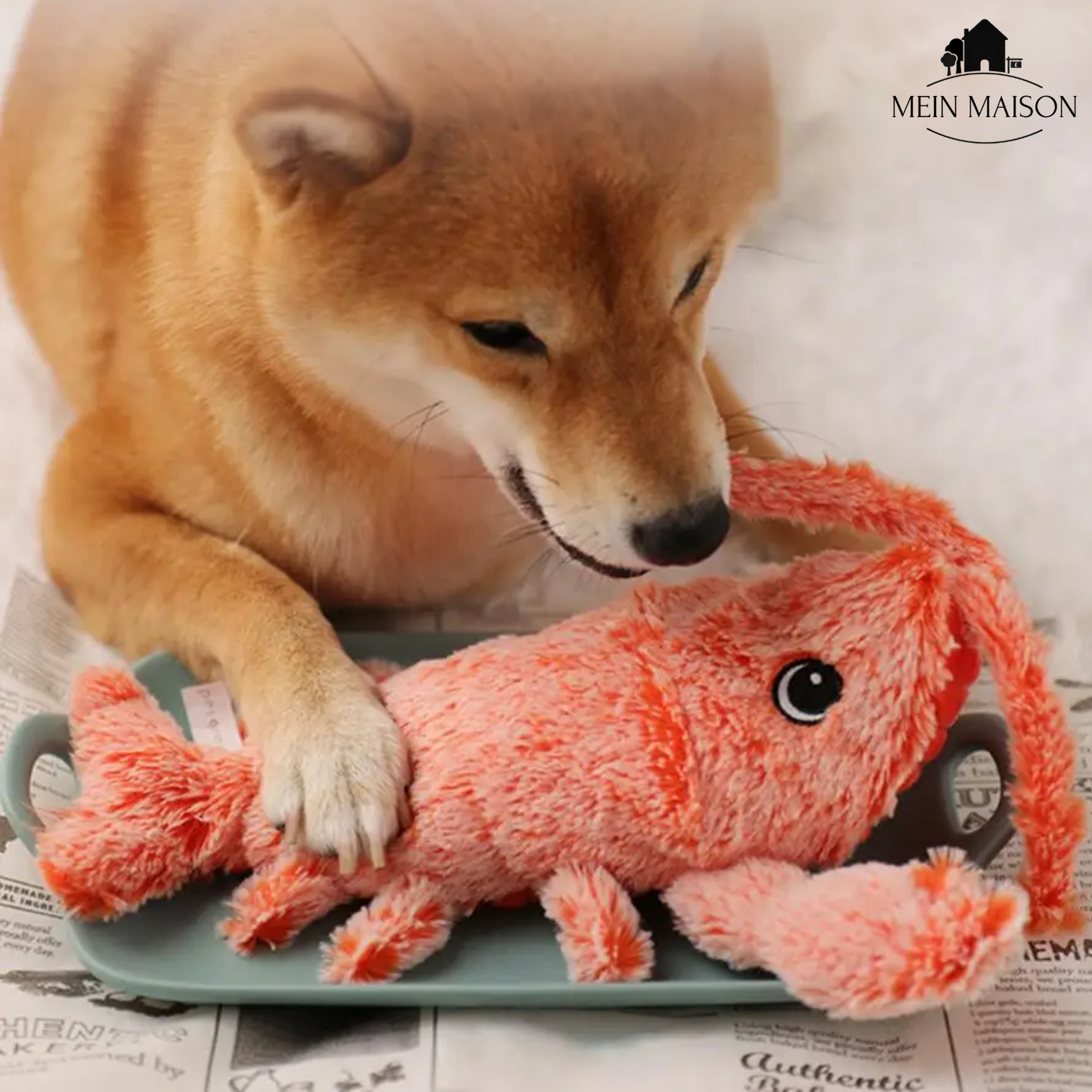 Carvallo – Den medspelare som tänker med