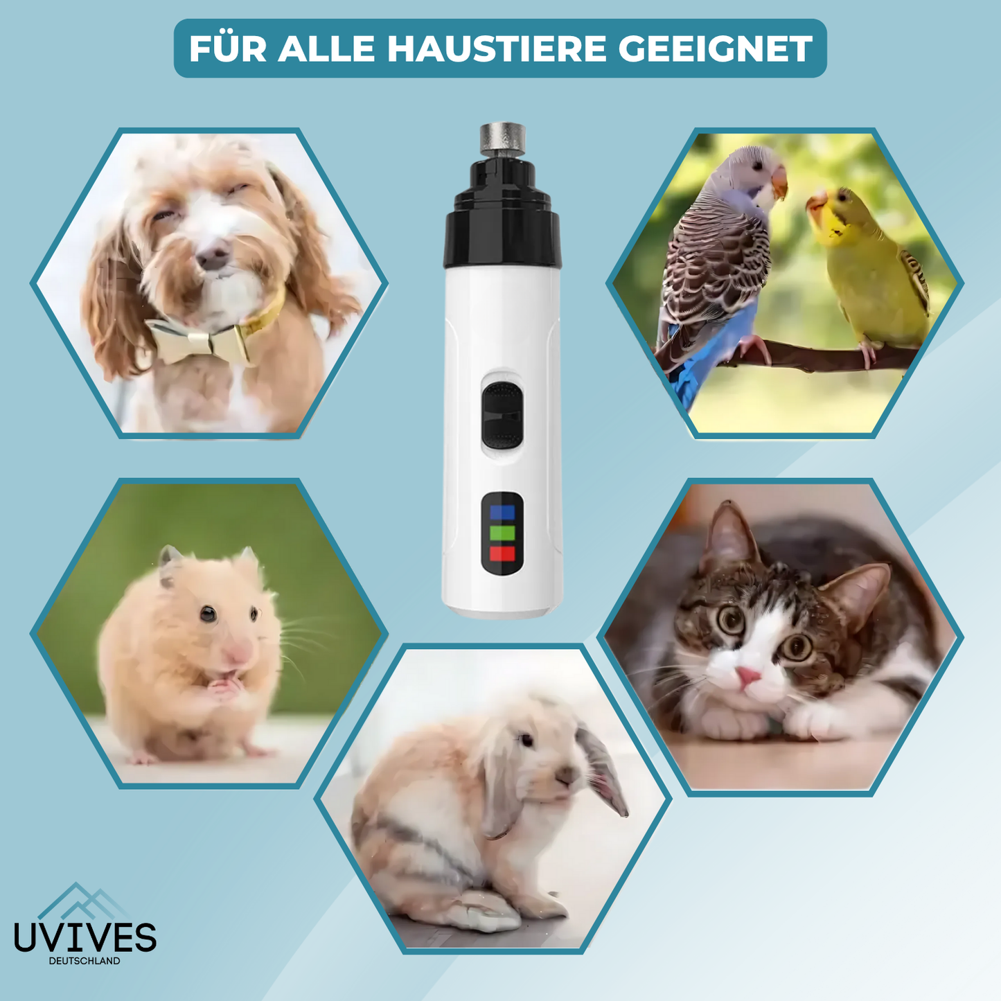 Carvallo – Stressfri tassvård