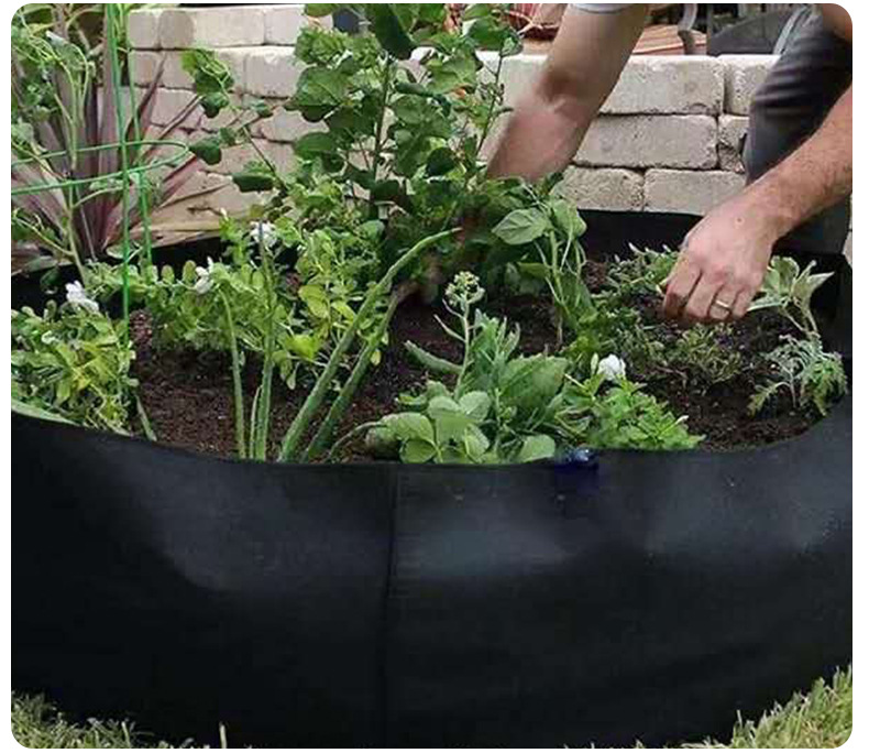 Rinder växttillväxtpåse – trädgårdskärl för enkel växttillväxt