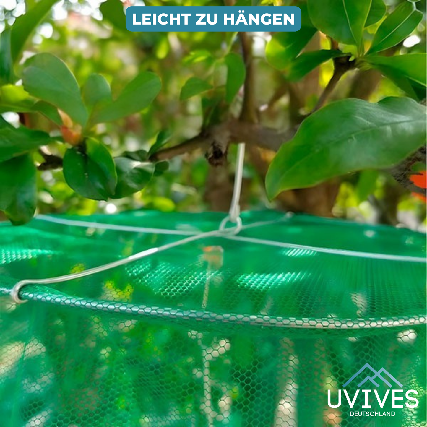 Carvallo – Slut med flugor i trädgården och huset