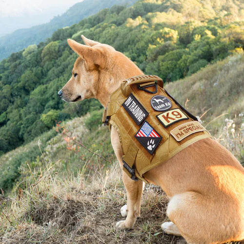 PawsSecur – Taktisk hundväst med Ingen-drag kontroll och anpassningsbara hjälppaneler