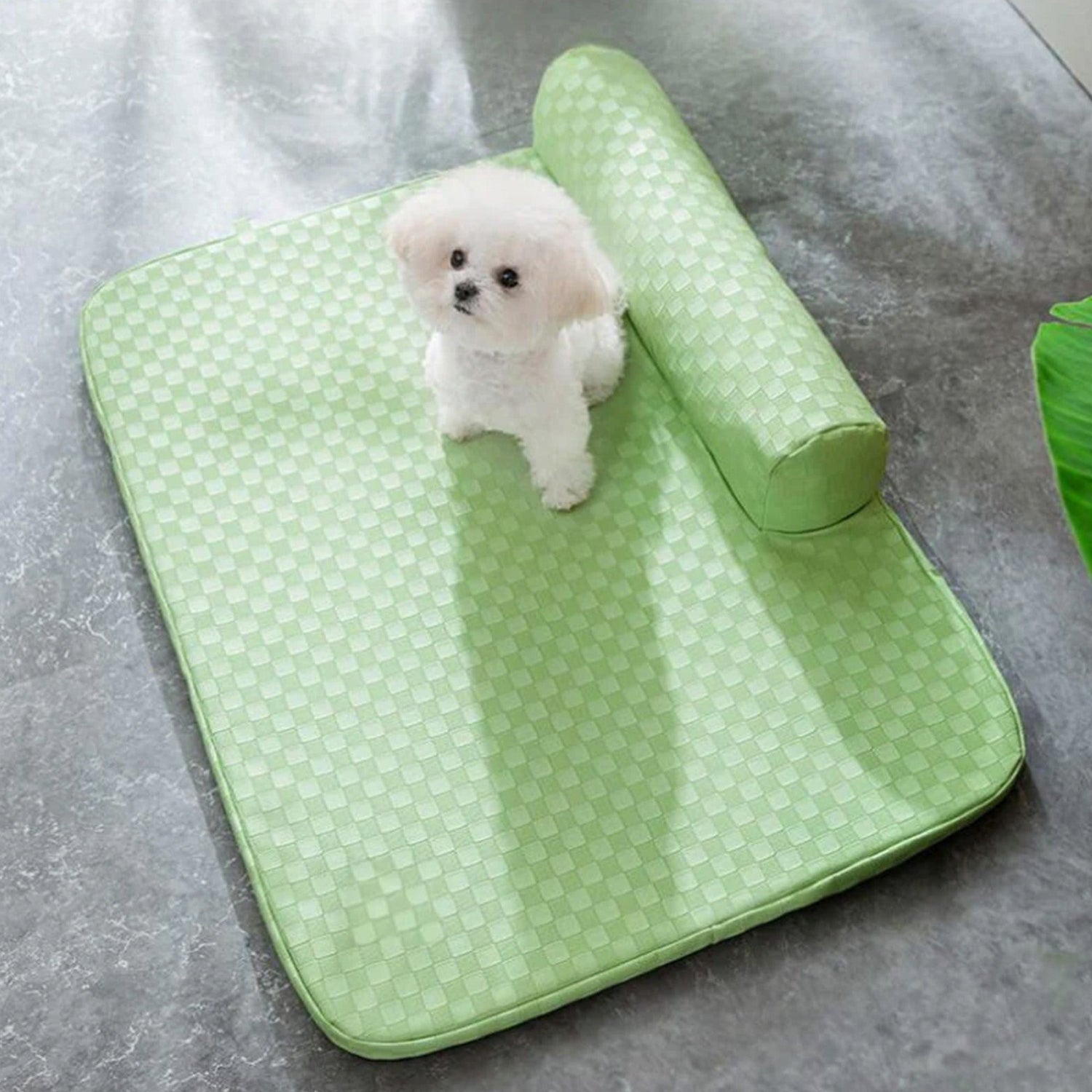 Rutig läder husdjur säng ortopedisk repa beständig tvättbar