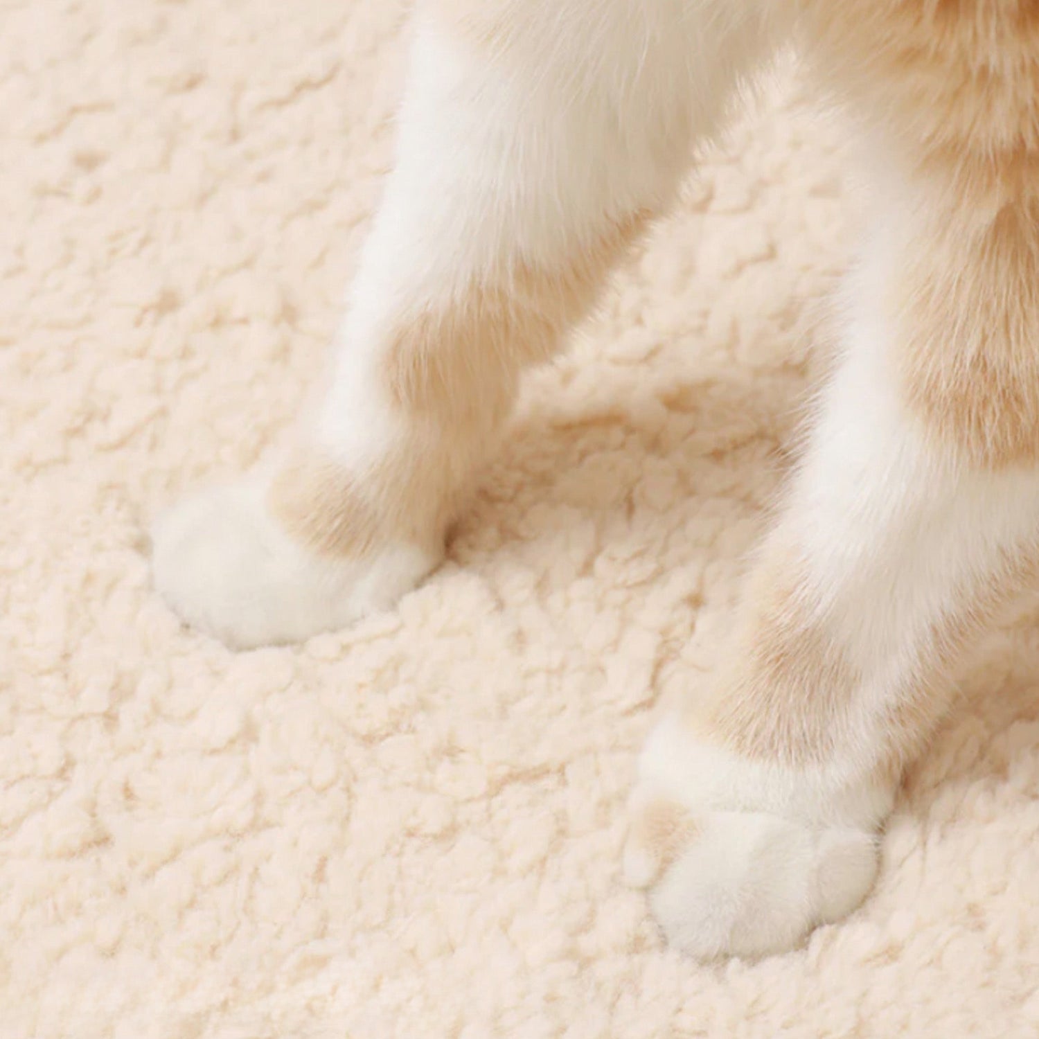 Mysig Varm Rund Husdjursbädd Plysch Ortopedisk Halkfri Design