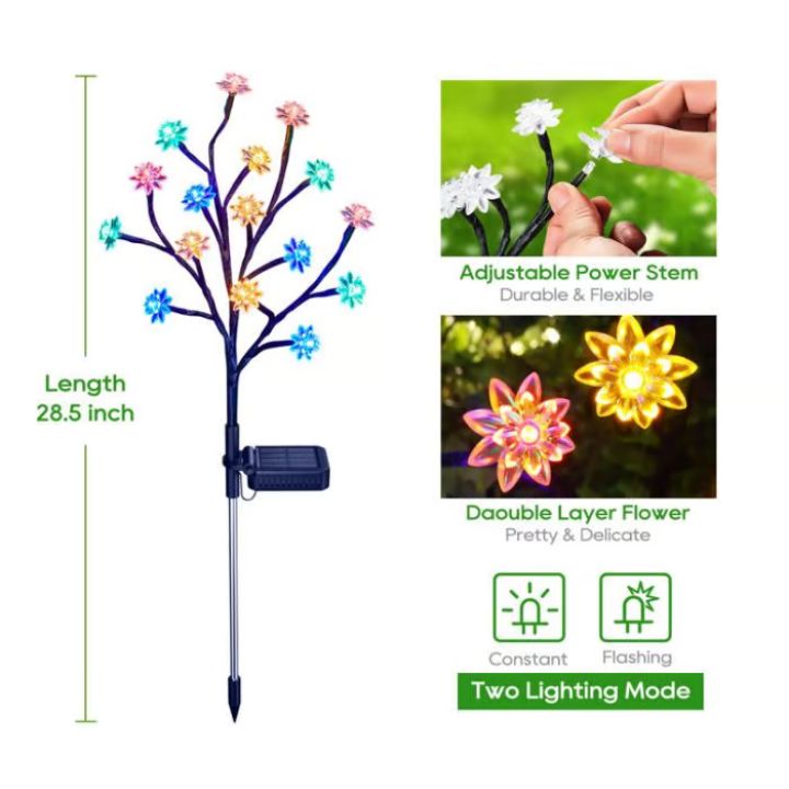 Carvallo – Förvandlar varje trädgård till ett blomsterparadis