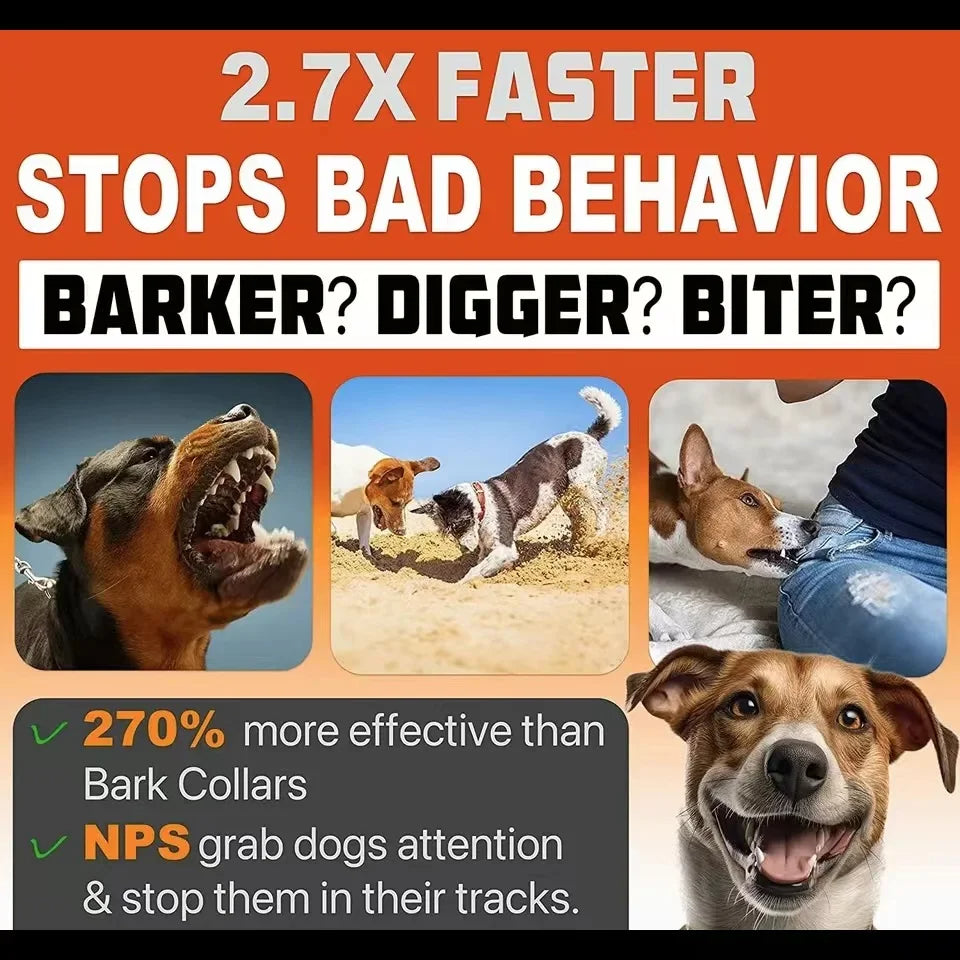 Ultimata Antibarkapparaten För Fredliga och Tysta Hundar