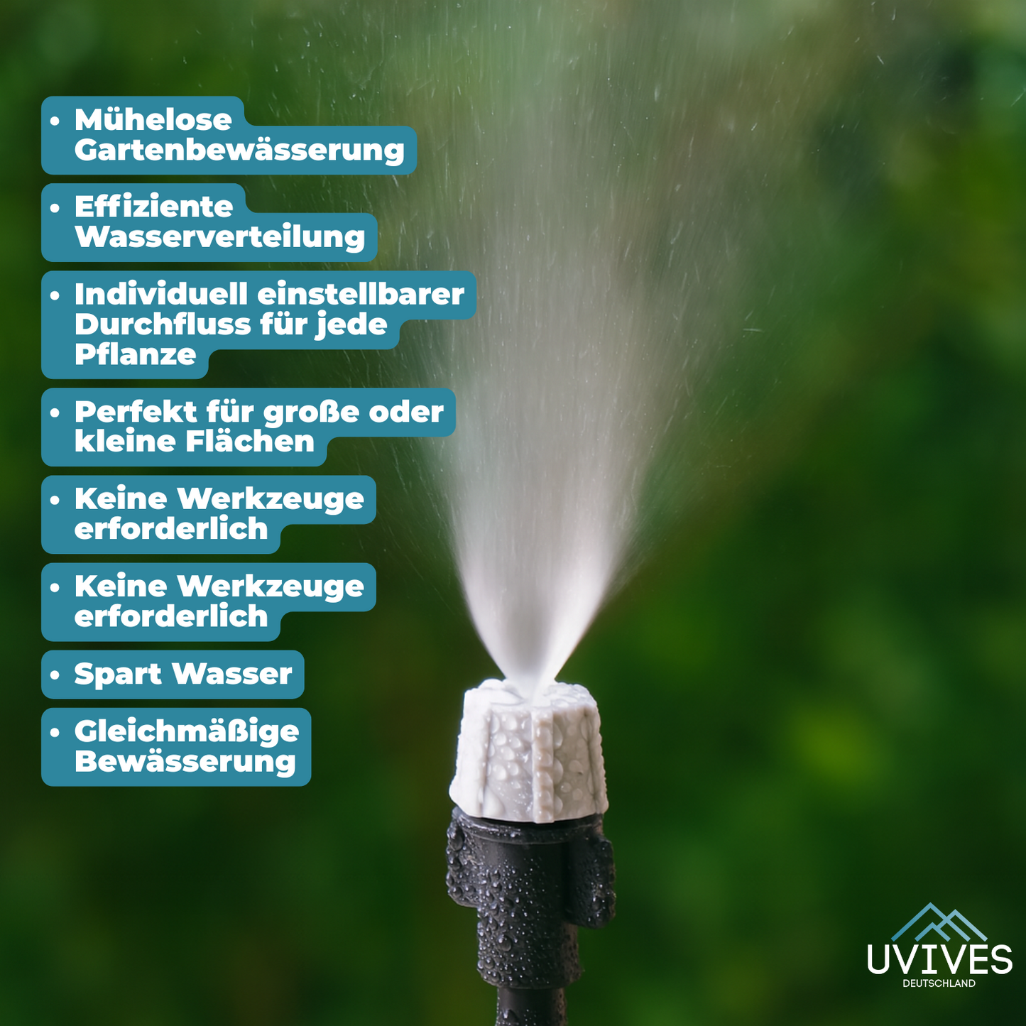 Carvallo Pro – Maximal avkastning med minimal ansträngning (20-pack)