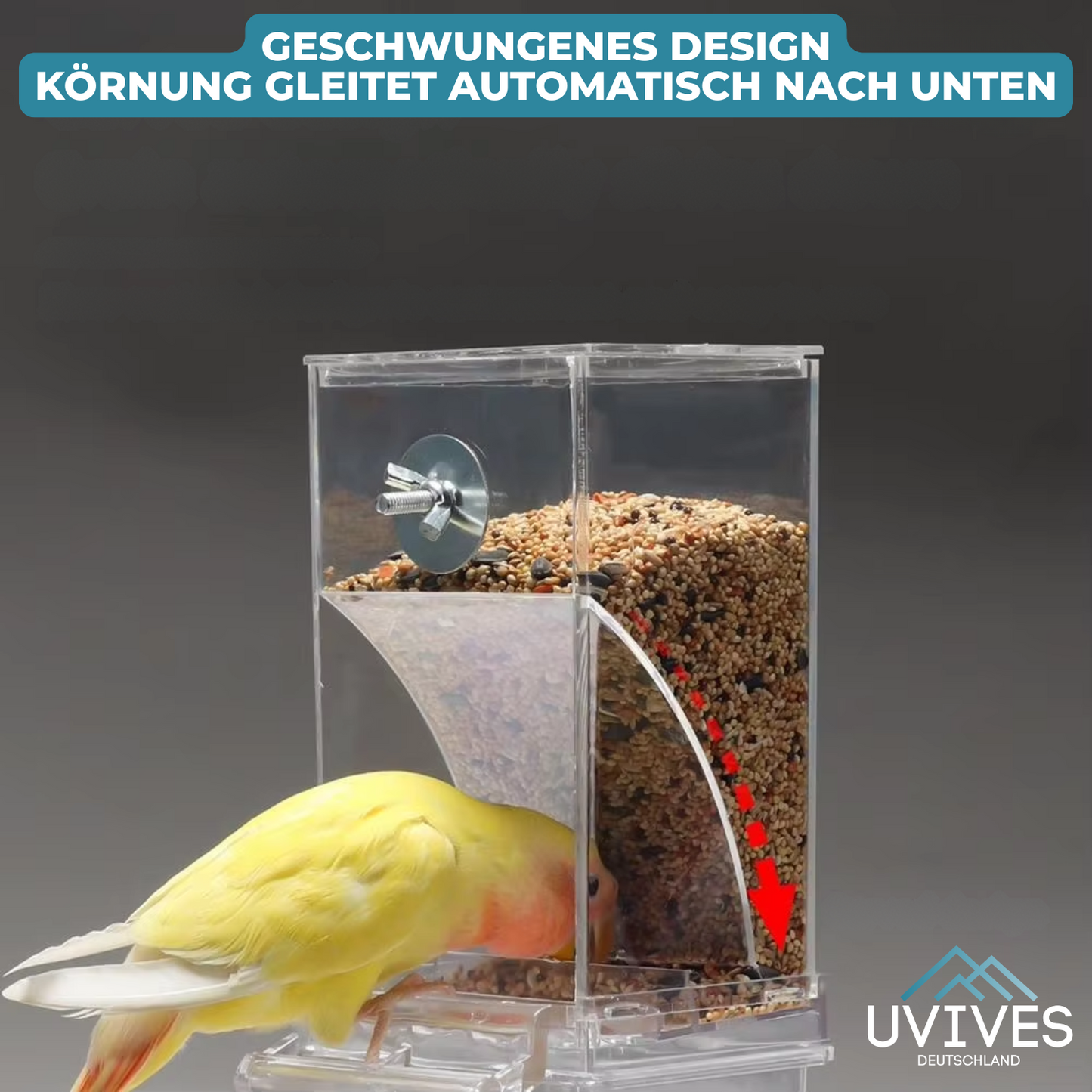 Carvallo – Ren utfodring, nöjda fåglar, mindre ansträngning