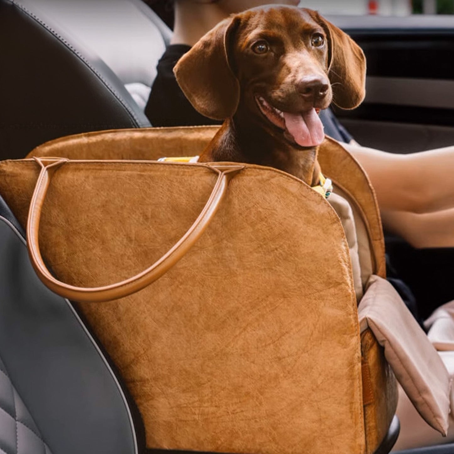 Bärbar Husdjurs Resväska – Lätt, Andningsbar & Säker för Små Husdjur