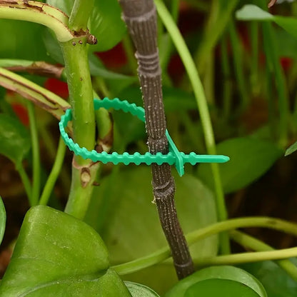 Plantbindning Kabelbinder Set för stabil fästning av växter