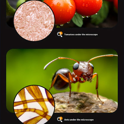 Mini Mikroskop med LED-lampa för Barn