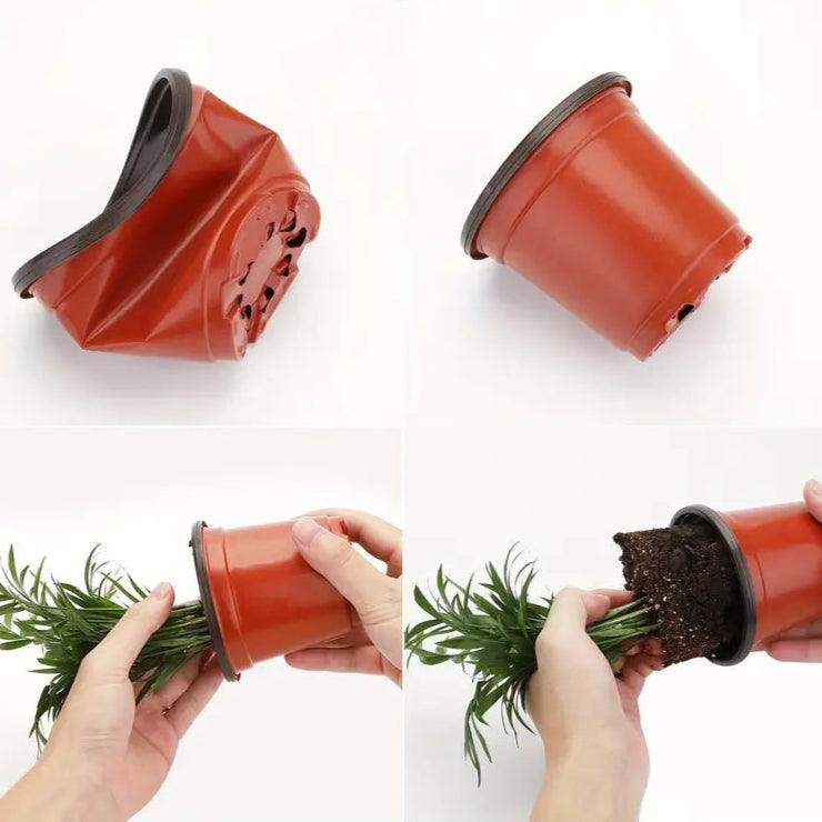 Carvallo Växtkrukor | Transparenta & Robust | För frisk växt- och rotutveckling