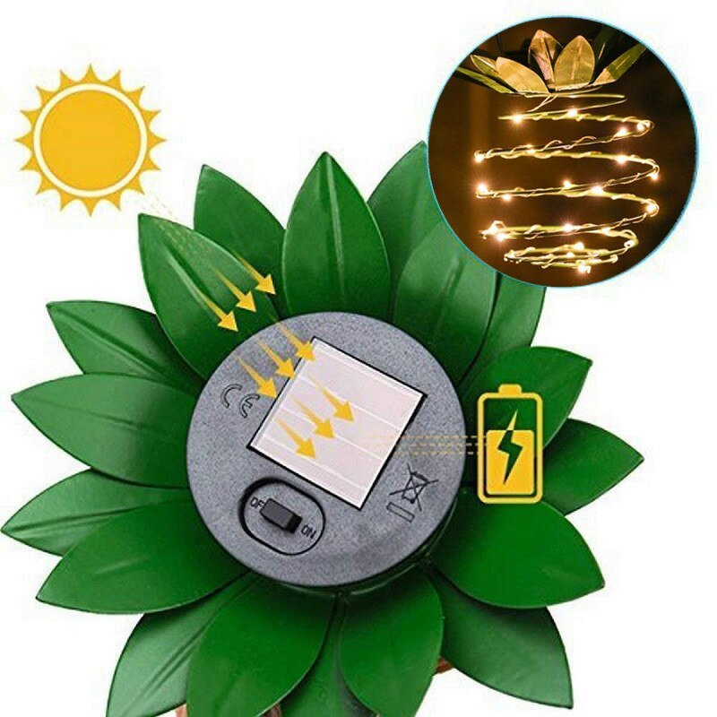 Carvallo – Tropiskt ljus för magiska nätter