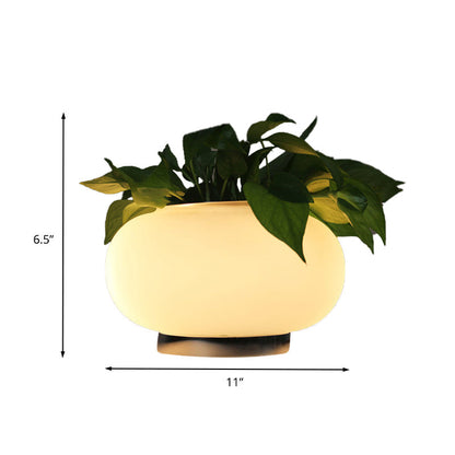 PlantGlow - Ovalt Bordslampa med Växthållare och LED-belysning